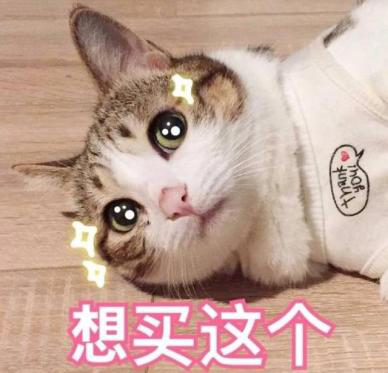 好看还聪明!15万级SUV别挑花眼
