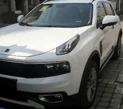 车主新提领克01, 回家就发现车身生锈, 车主恼火直呼太失望