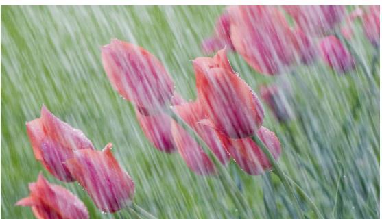 春雨绵绵 出行首选福特撼路者