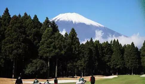 2000万高尔夫人口是怎样的图景?成为老头乐