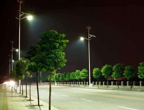 村里为农村道路安装路灯，每月的电费由农民平摊，你觉得公平吗?