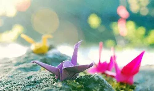 致自己生活感悟的经典句子,句句犀利!