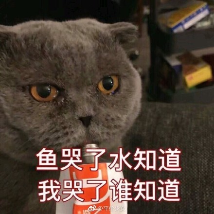 想跟抖音说对不起,毕竟杨洋热巴都中了毒