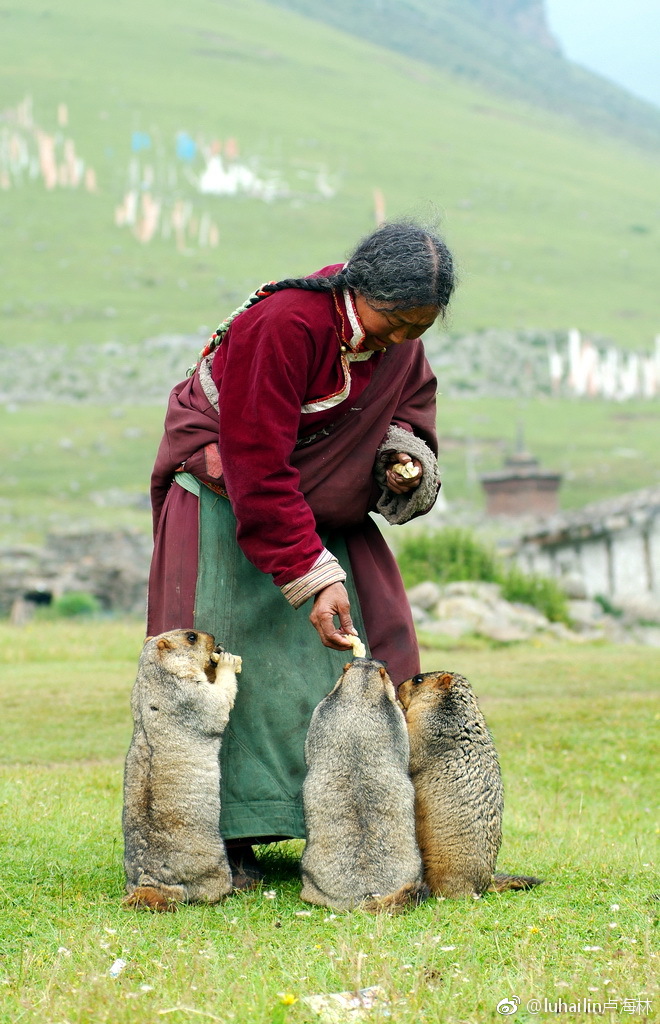 莫斯卡村海拔4000多米,是我在藏区所见过最原始的一个村落