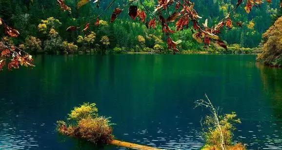 暑假国内旅游景点排行, 你, 去过几个?