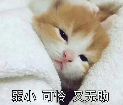 如果一个天时和你聊表情,用这种男生,你表情去最好包钓鱼走图片