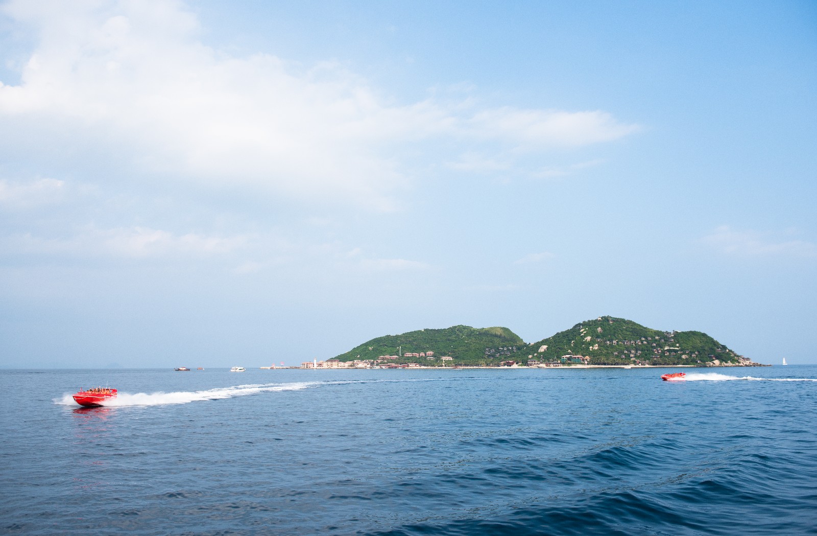 你问我答!全新攻略在此!带您玩转分界洲岛!