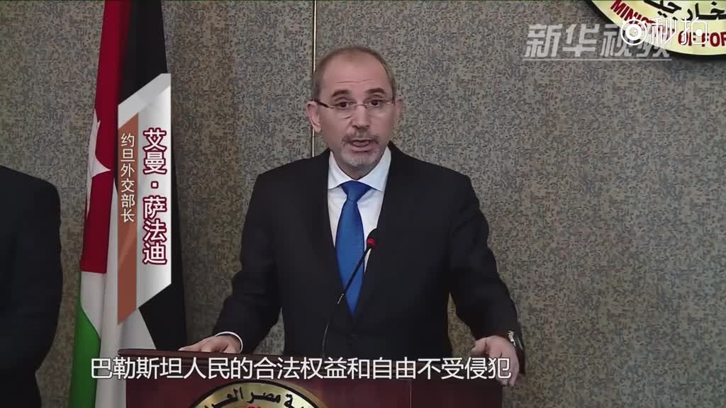 面对巴以冲突 埃及、约旦外长这么说