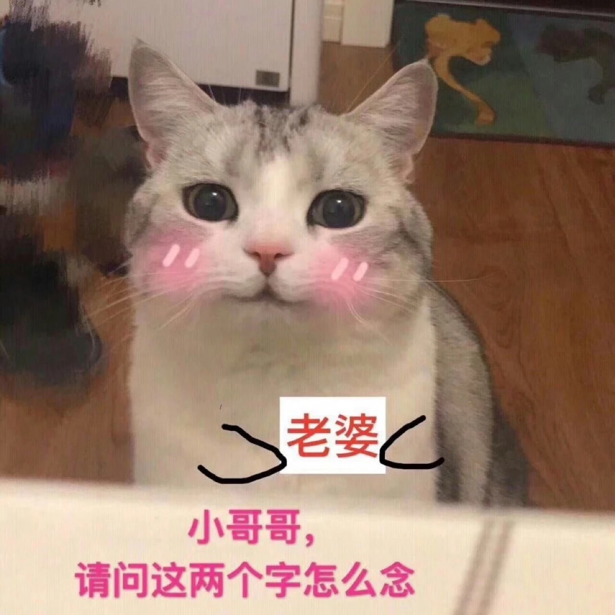 两只萝卜两个差猜成语_两个萝卜图片(3)