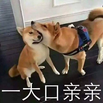 一组宠溺表情包( ` )