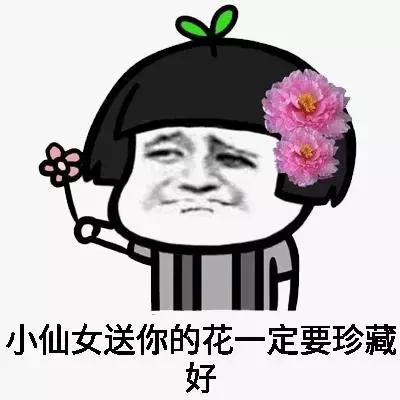 仙女专用表情包:请记住我的名字,我叫小仙女!