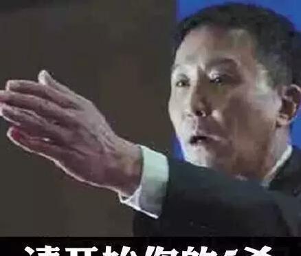 偶遇AG超玩会的梦泪小号, 战绩数据和英雄胜率