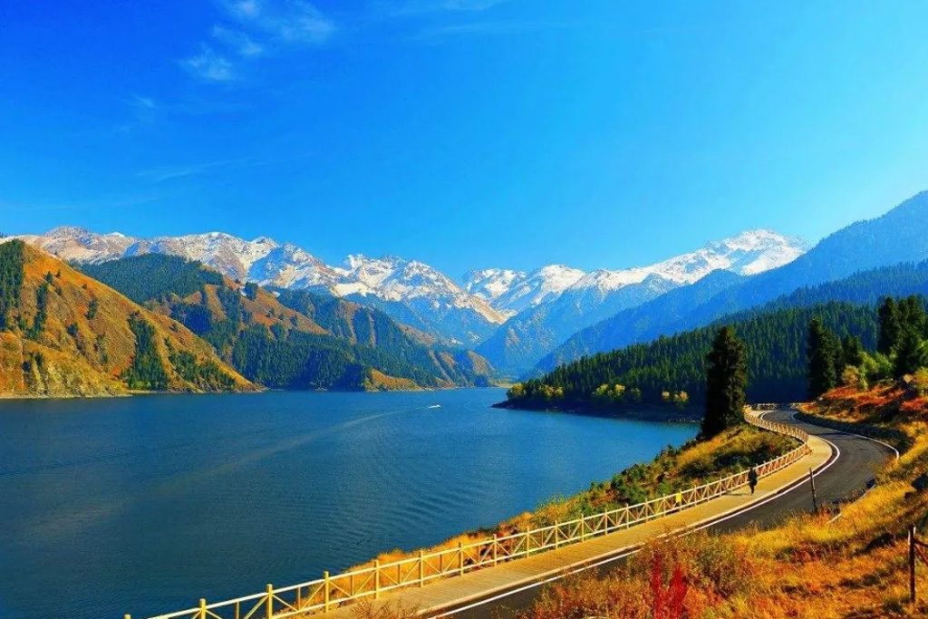 国内旅游介绍优势及婚恋网站个人简介怎么写