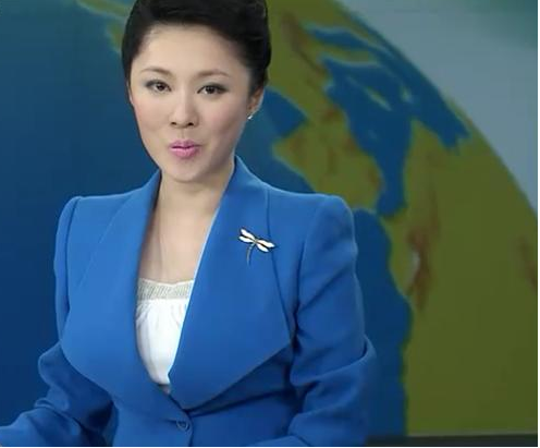 美女主持人紫凝,气质高贵典雅,21岁进入央视,38岁至今未嫁
