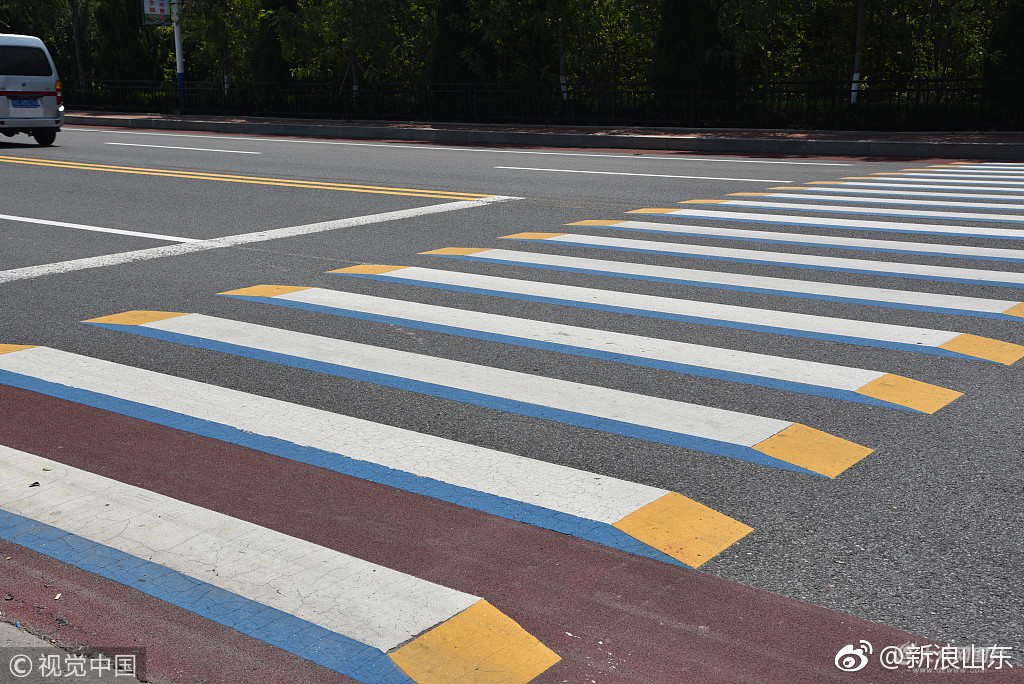 立体斑马线 新浪网
