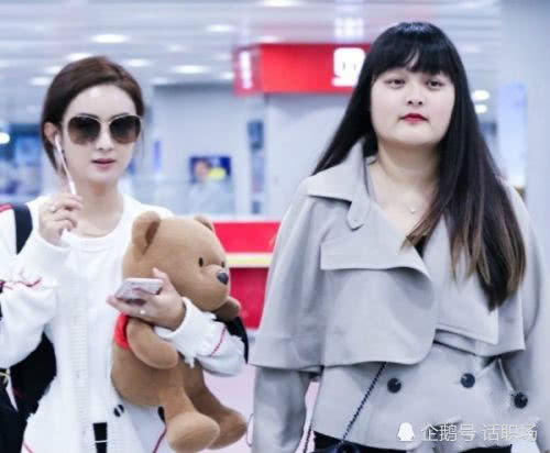 明星助理一个月能赚多少钱?网友:吃喝住都不用