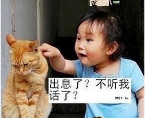 看到这些最新口误笑话真是笑抽了