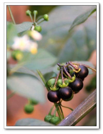 80后记忆中的那些零食,名字你还记得多少,说说