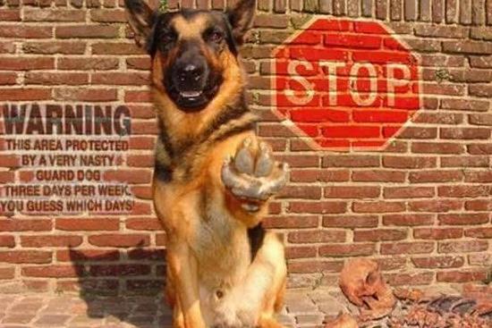 搞笑GIF图: 男朋友就知道玩游戏, 在旁边打滚都