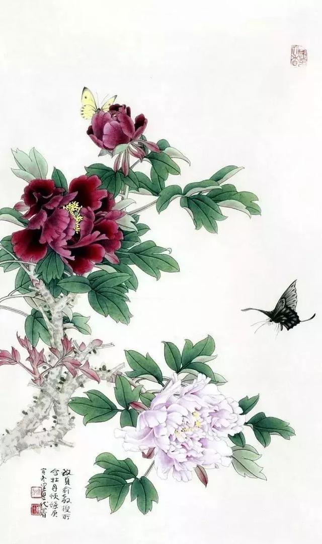 华世翎光-花鸟画大家田世光作品（五）