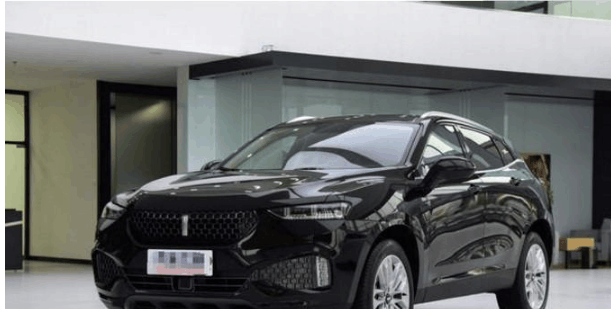 中国路虎横空出世, 做工不输50万级, 15万的定价多少人买账?