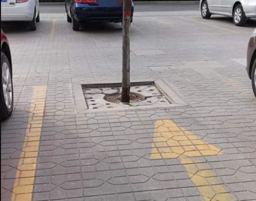 什么样的停车罚单最肉疼?