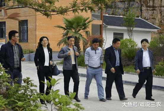 哪些人最适合当村干部? 3类人最合适不过, 4类