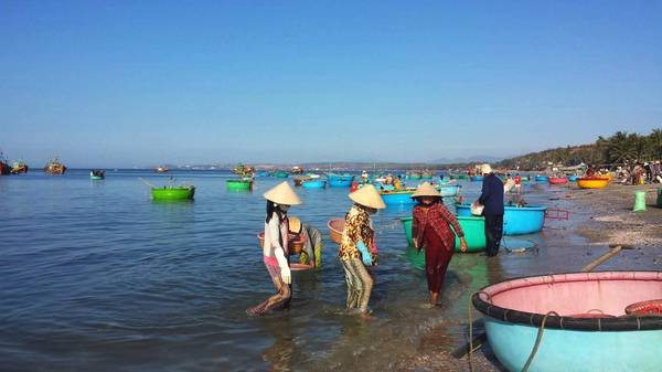 打假!越南芽庄跟团游被要求携带4000现金,否则