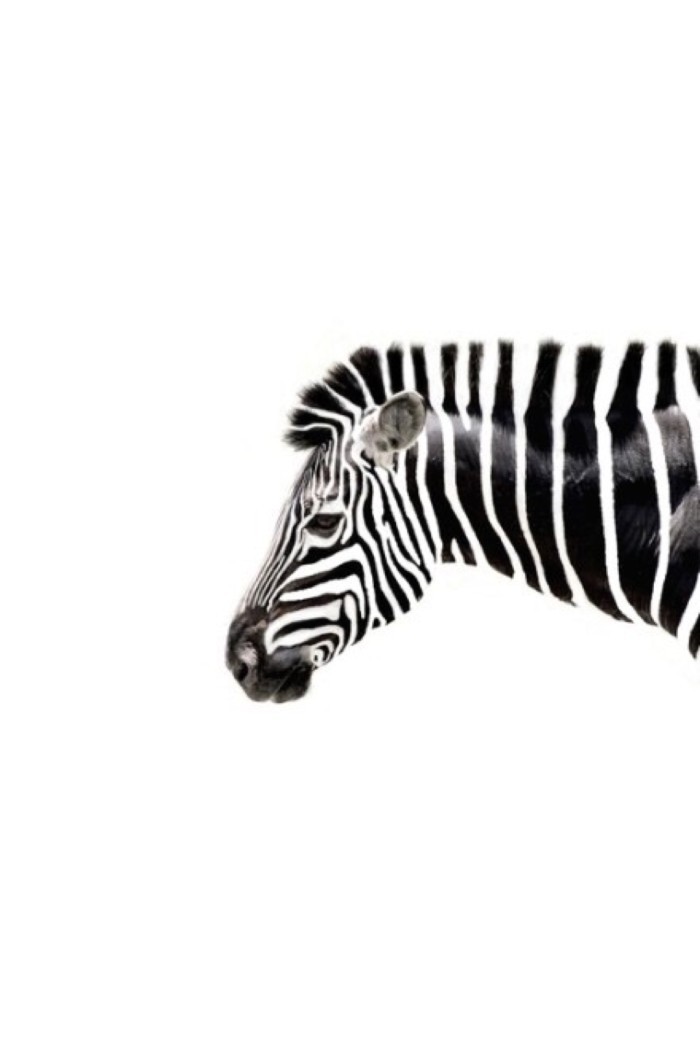 医不自医 人不渡己