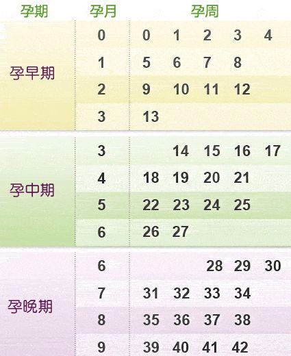 涨知识】原来医生是这样计算怀孕周期的!|孕妈