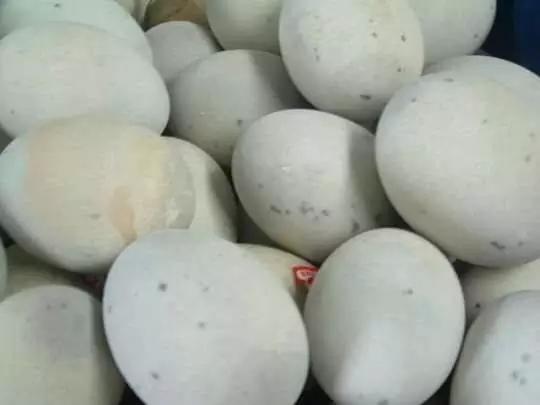 一个皮蛋正确打开方式，终于知道怎么吃！