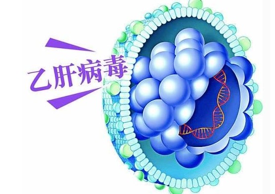乙肝转氨酶多高算严重?不重视肝癌早晚要