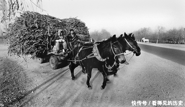 十三陵附近都是农村,农民们赶着马车.