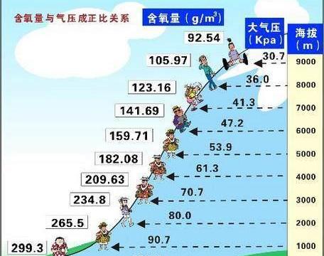 开车进藏 汽车竟然也有高原反应？