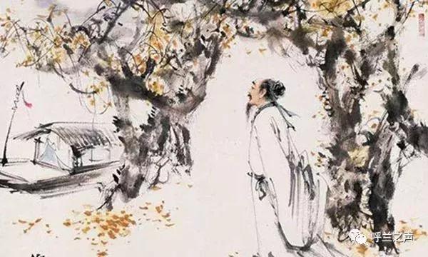 燕子不进“苦寒门”,为什么燕子能分辨出“穷人”和“...