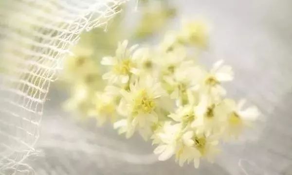 非常经典的句子:做人要厚道,但也别太老实。