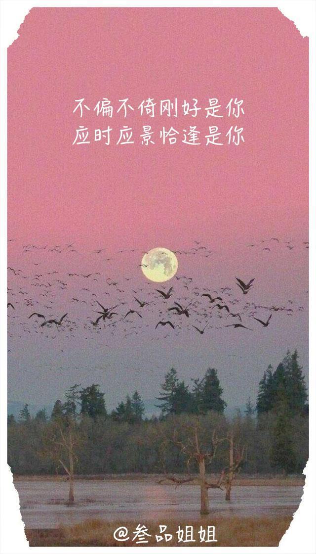 经典句:不偏不倚刚好是你,应时应景恰逢是你