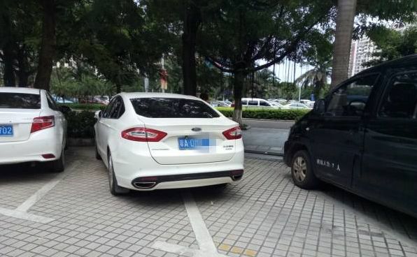 什么样的停车罚单最肉疼?