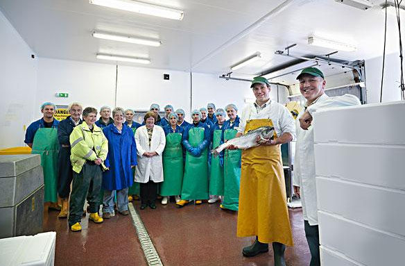 为什么小工厂不断倒闭?20年老工人说出原因,太