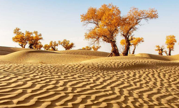 请问这个沙漠具体在什么地方?谢谢!