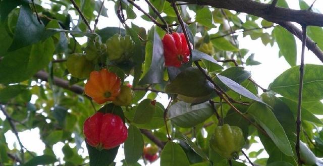 最接地气的中国特色美食改了一个名字, 档次就