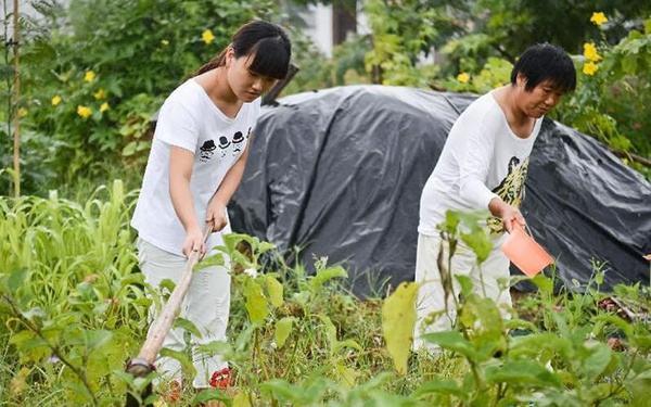 谁说知识不能改变命运?这些农村毕业大学生都