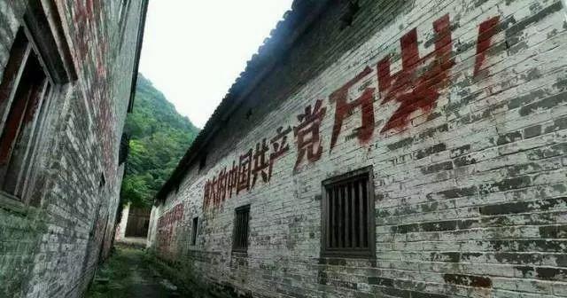恭城月柿节来啦,不可不知的秘密