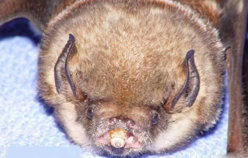 ����ʮ���ª����, �㿴������