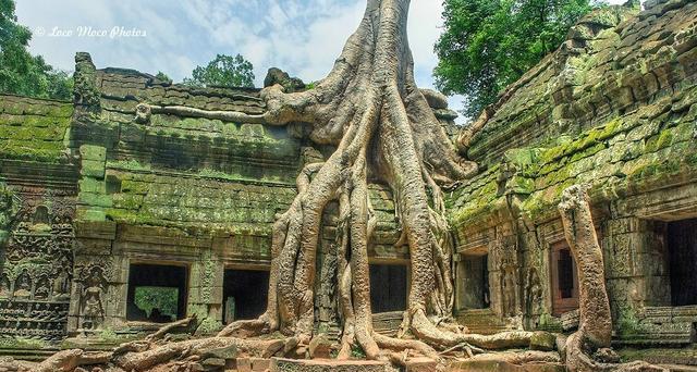 探秘: 比蒙娜丽莎更有魅力的微笑, 高棉