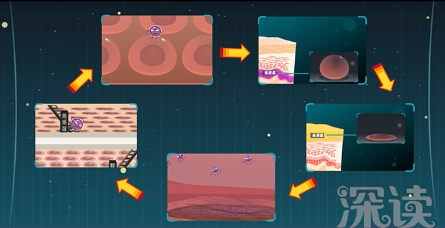 99%的宫颈癌患者查出HPV病毒 HPV怎么感染