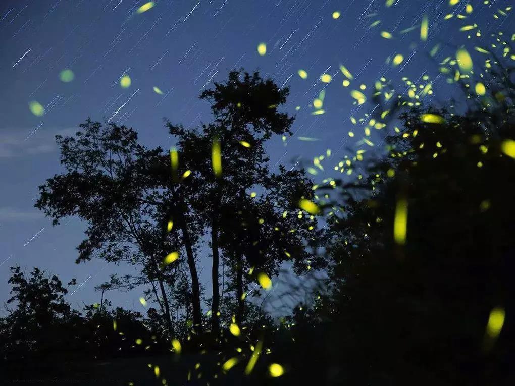 考察完马来医院去哪儿玩?首选亚庇和仙本那~