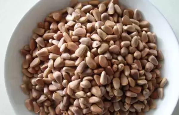 东北这些特产水果,吃一次就上瘾,你都吃过吗?