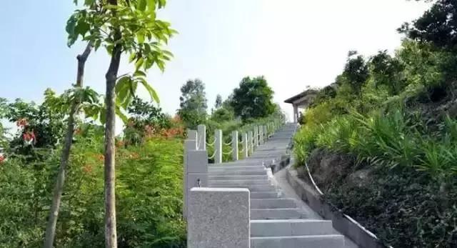 整整83个！深圳最新免费景点出炉，不花一分钱玩遍深圳！