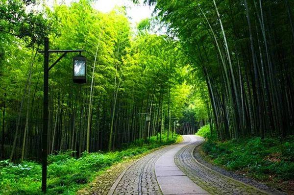 新西湖十景简介及游玩攻略